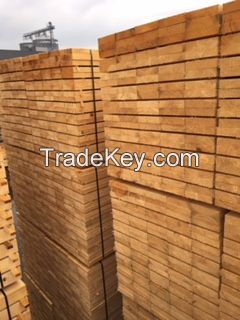 fresh cutted fir/ spruce, impregnated / KD