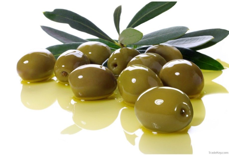 High Quality Olive Extract Powder With Low Price