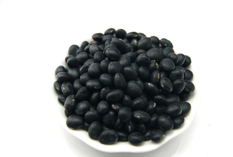 Black Bean Extract Powder