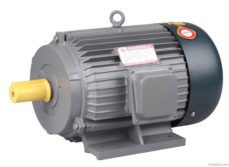 Y three phase induction motor/ac motor