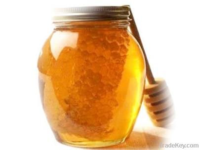 Premium Uniquely flavoured pine tree honey