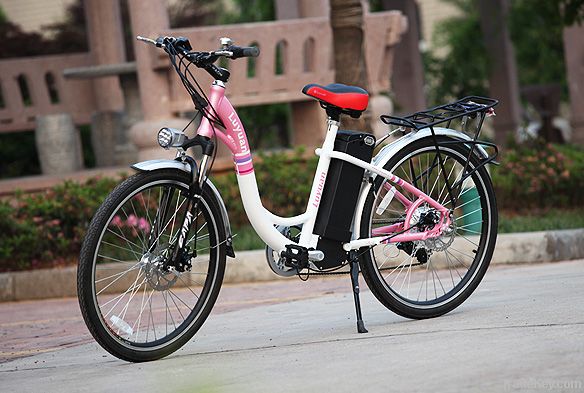 2012 Best-sell ebike