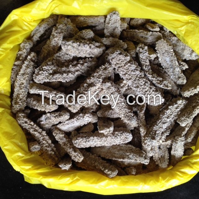 Sea Cucumber, Haishen / Trepang - Gamat By SL Global Enterprises,