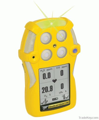 Multi Gas Detectors