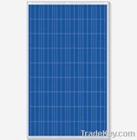 Polycrystalline PV Panel (180~220W)