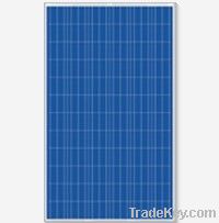 Polycrystalline PV Panel (240~290W)