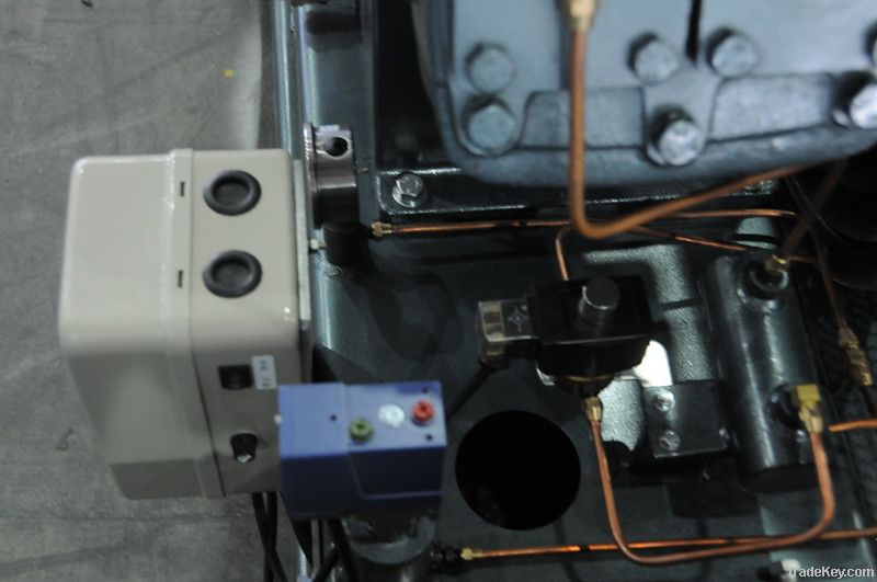 30bar Piston Air Compressor for PET Blowing Process