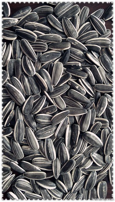 SUNFLOWER SEEDS 5009