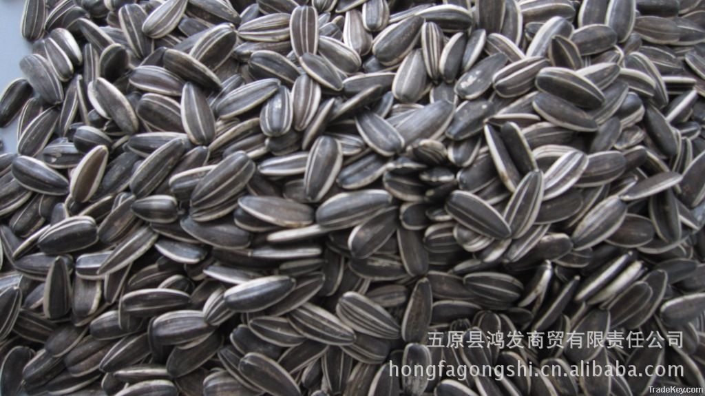 SUNFLOWER SEEDS