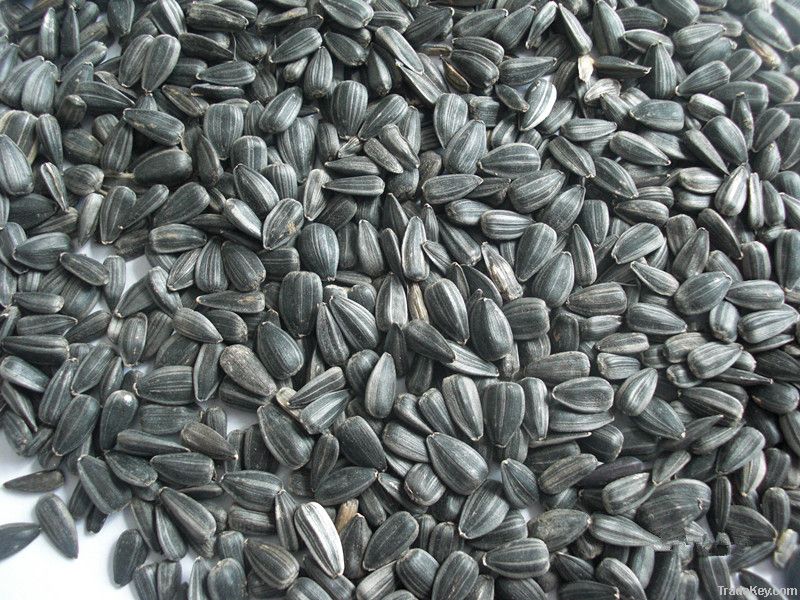 oil sunflower seeds