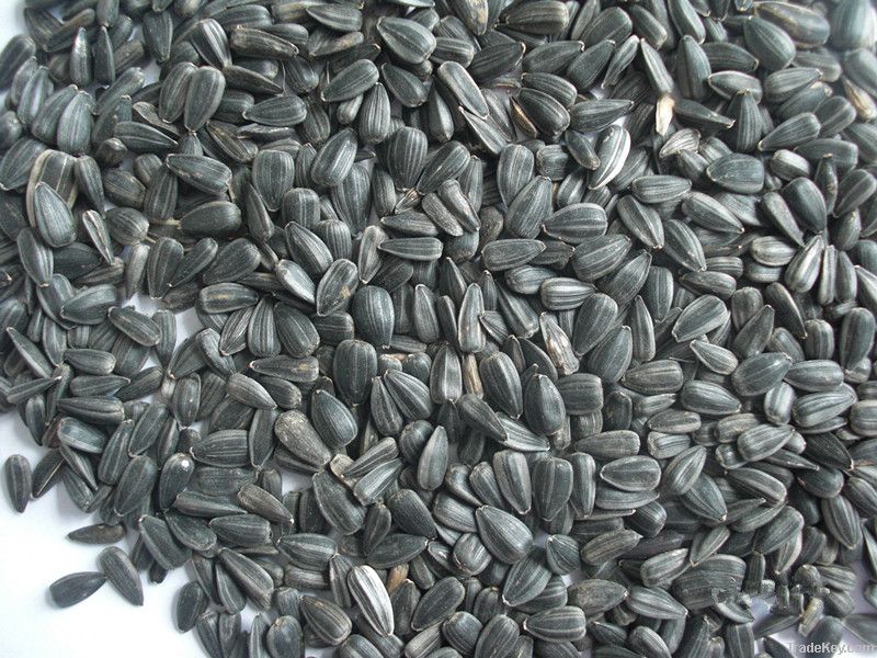 oil sunflower seeds