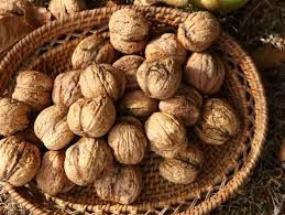 walnuts, walnuts in Shells