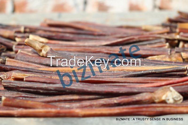 Bully Sticks