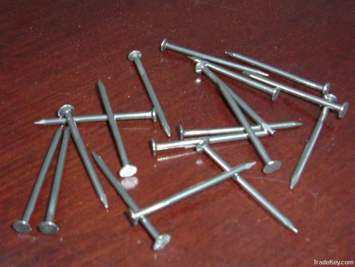 Common round wire nails