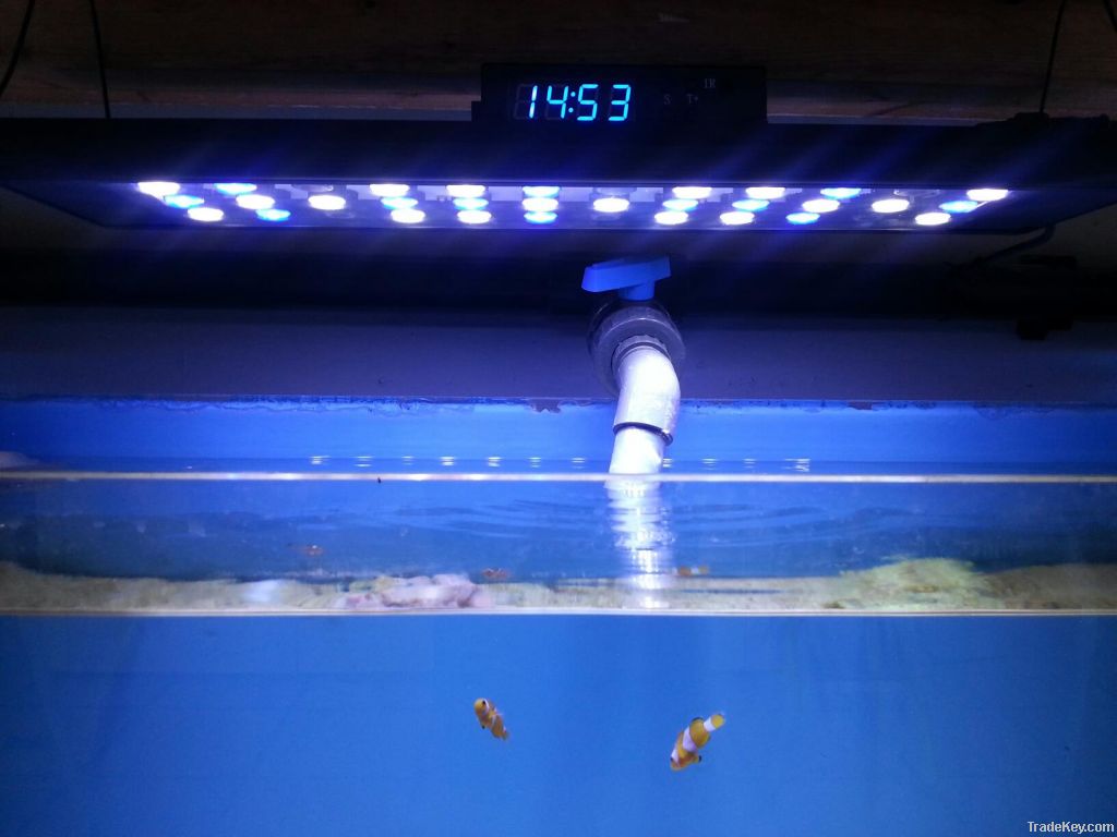 Newest 90cm 48*3w led dimmable aquarium lights for reef corals