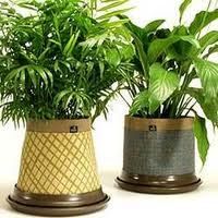 FRP flower pot