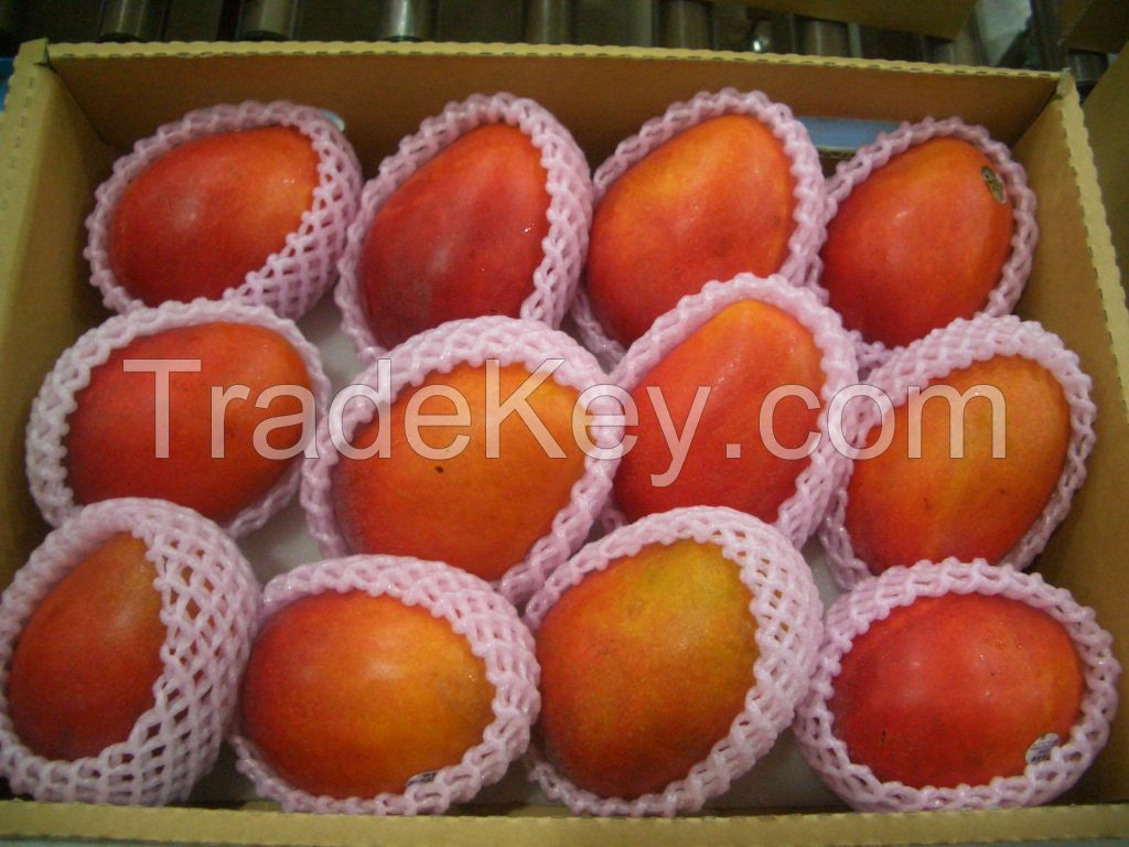 Taiwan Fresh Organic Irwin Mango Apple mango Fresh Fruit