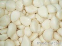 Frozen Garlic Products