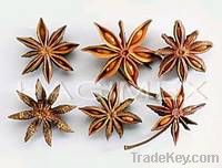 Star anise with stems