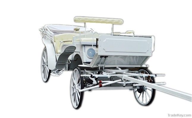 Royal wedding horse carriage