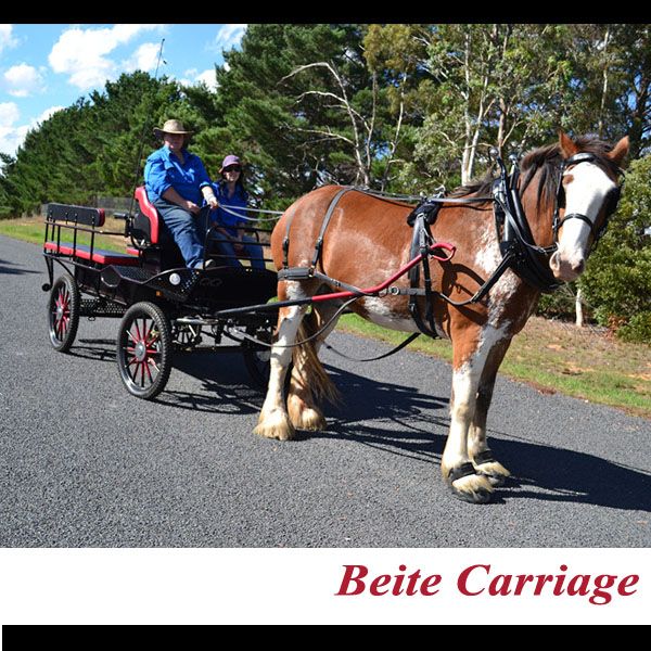 All new horse drawn carriage manufacturer