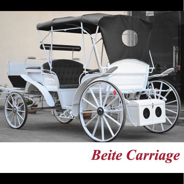 All new horse drawn wagonette manufacturer