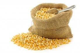 barley , wheat bran , soybeans , wood pellet and animal feed, yellow corn