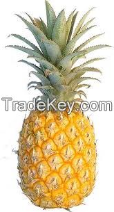 FRESH PINEAPPLES BY AIR FREIGHT