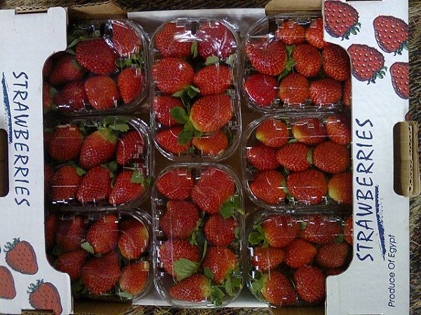 strawberry