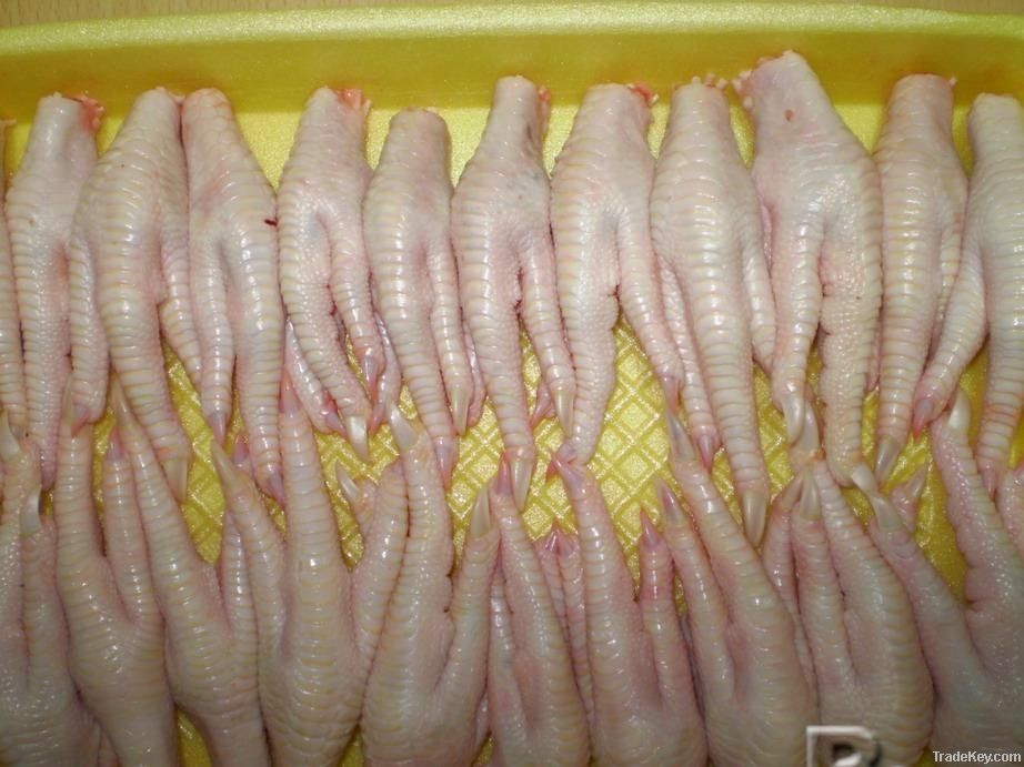 Frozen chicken Paws for sale