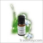 Jasmine Essential Oil