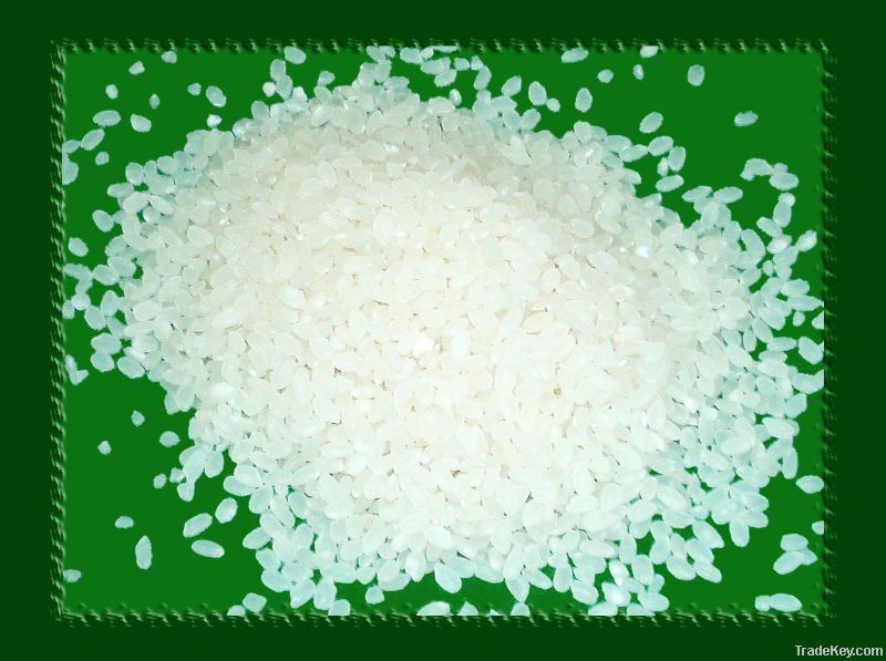 Round grain white rice