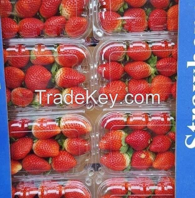 fresh egyptian strawberry