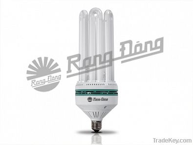 Compact Fluorescent Lamp (CFL Light)