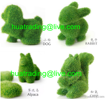 Artificial Grass Toy