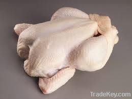 Frozen  CHICKEN