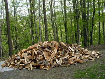 Seasoned/Green Firewood