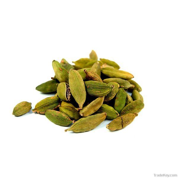 Cardamom