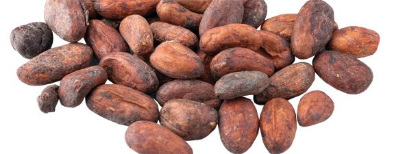 Cocoa Beans