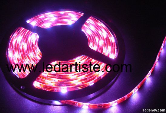RGB, SMD5050 Flex LED Strip with Crystal Epoxy Waterproof