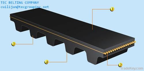 Automotive Timing Belt