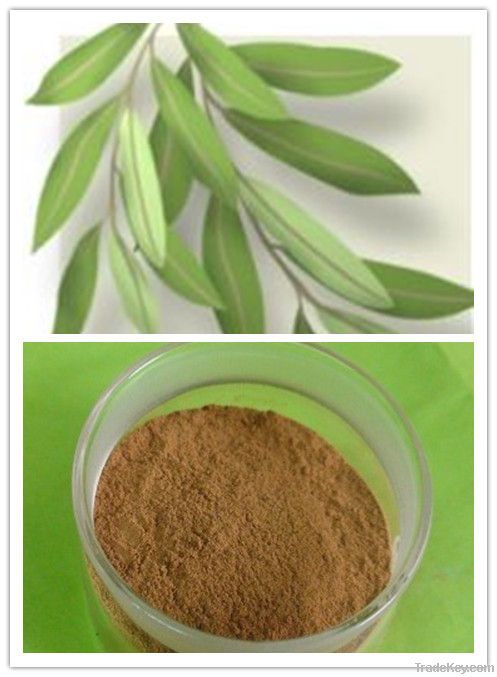 5% Hydroxytyrosol olive leaf extract