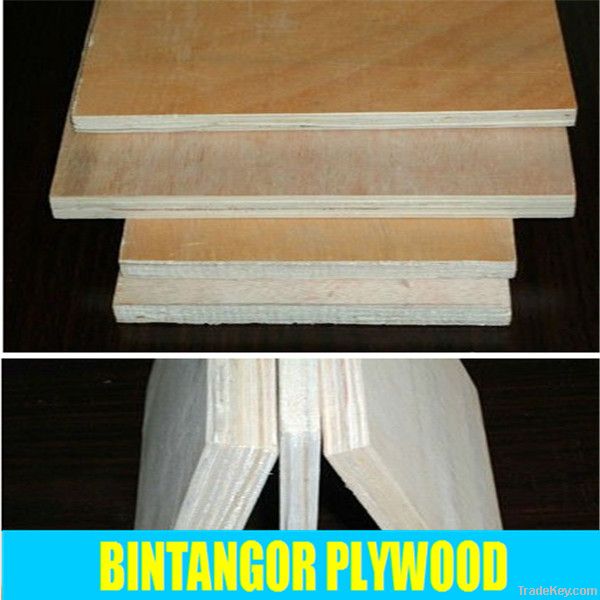 Best Price Bintangor Commercial Plywood