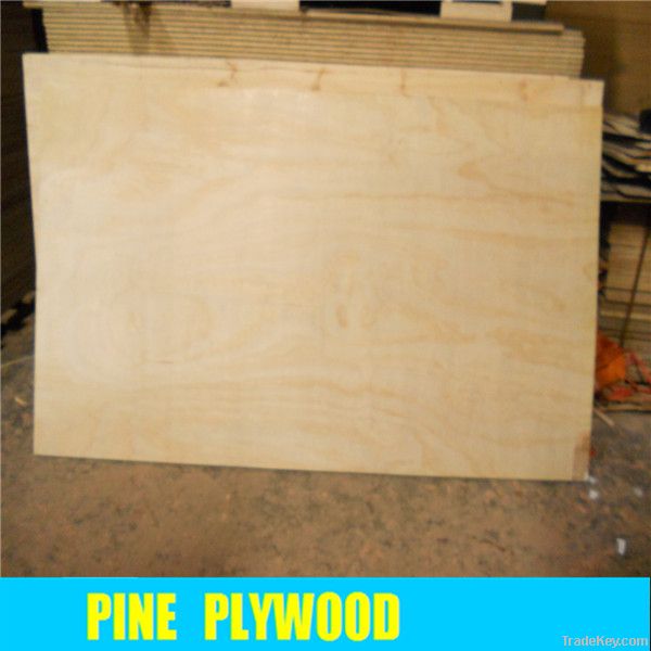 bb/cc grade best quality pine plywood
