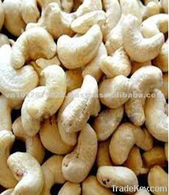 Dried Fruits | W240 Cashew Nuts Suppliers | W320 Cashew Nut Exporters | Cashew Nut Suppliers | Cashew Nut Exporters | Cashew Nut Manufacturers | Cheap Cashew Nut | Wholesale Cashew Nut