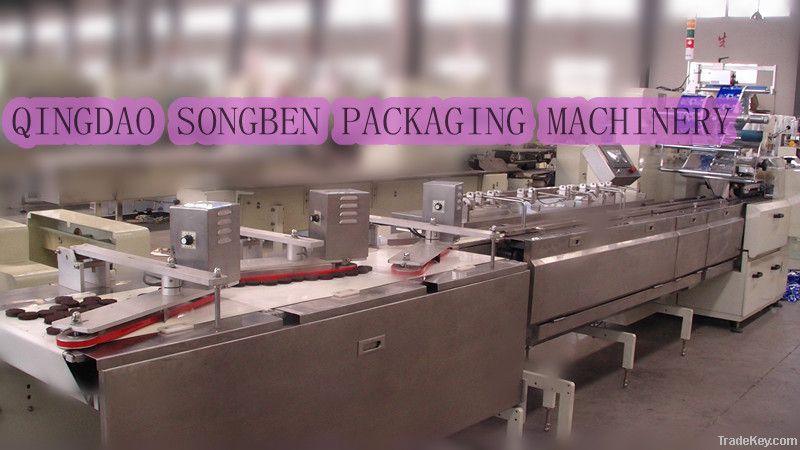 biscuit auto tidying and feeding packing machine