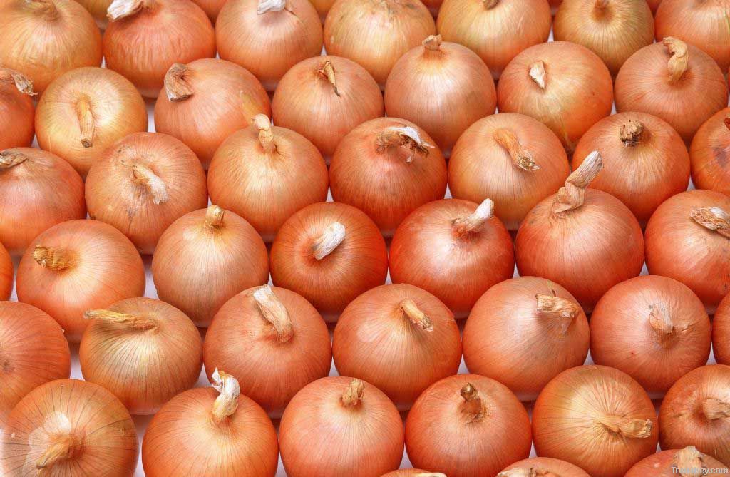 ginger  garlic  onion
