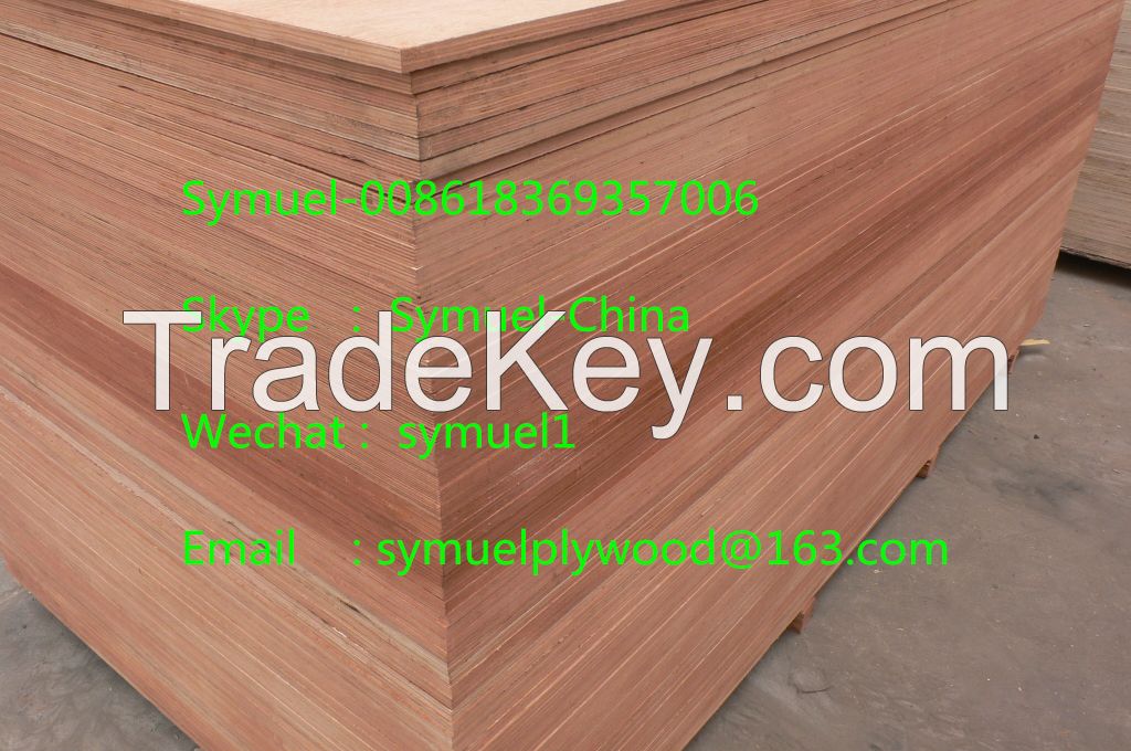 Hot Selling Pine commercial plywood sheet to Durban Port