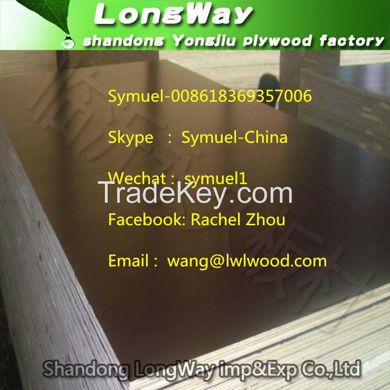 hot selling cheap  plywood sheet as construction building