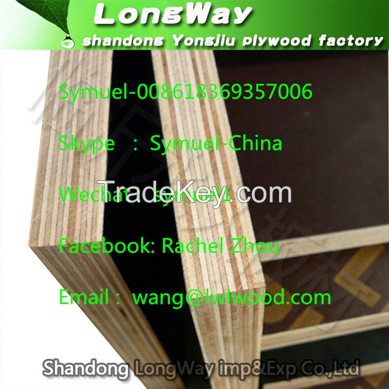 cheap  plywood sheet for construction building